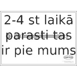 Bremžu šļūtene CORTECO 19025825
