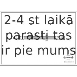 Bremžu šļūtene CORTECO 19027752
