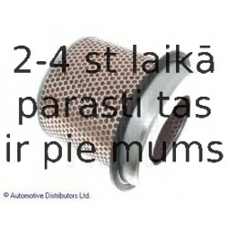 Воздушный фильтр BLUE PRINT ADC42229