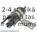 Топливный фильтр BLUE PRINT ADA102303