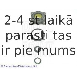 Комплект подшипника ступицы колеса BLUE PRINT ADT38249