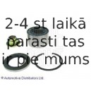 Комплект подшипника ступицы колеса BLUE PRINT ADT38251