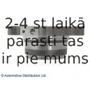 Комплект подшипника ступицы колеса BLUE PRINT ADT38383