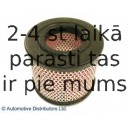 Воздушный фильтр BLUE PRINT ADZ92214