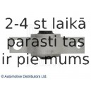 Втулка, рычаг колесной подвески BLUE PRINT ADT38062