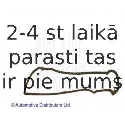 Blīve, Motora bloka galvas vāks BLUE PRINT ADS76716C