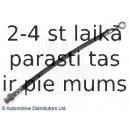 Тормозной шланг BLUE PRINT ADG053218