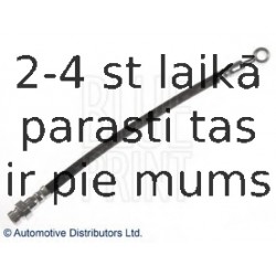 Тормозной шланг BLUE PRINT ADG053218