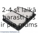 Воздушный фильтр BLUE PRINT ADH22270