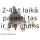Balst-/Virzošais šarnīrs BLUE PRINT ADT38616