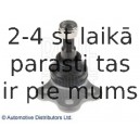 Balst-/Virzošais šarnīrs BLUE PRINT ADM58686
