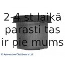 Втулка, рычаг колесной подвески BLUE PRINT ADC48060