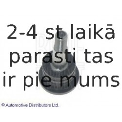 Balst-/Virzošais šarnīrs BLUE PRINT ADG08648