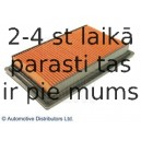 Воздушный фильтр BLUE PRINT ADN12249