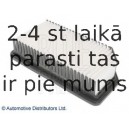 Воздушный фильтр BLUE PRINT ADG02293