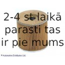 Топливный фильтр BLUE PRINT ADT32372