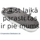 Воздушный фильтр BLUE PRINT ADB112215