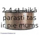 Воздушный фильтр BLUE PRINT ADT32274