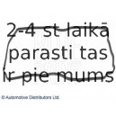 Blīve, Motora bloka galvas vāks BLUE PRINT ADS76725