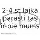 Комплект тормозных колодок, дисковый тормоз BLUE PRINT ADH24246