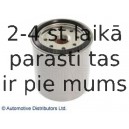 Топливный фильтр BLUE PRINT ADA102305