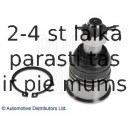 Balst-/Virzošais šarnīrs BLUE PRINT ADH286137