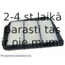 Воздушный фильтр BLUE PRINT ADG02248