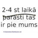 Тормозной шланг BLUE PRINT ADH253153