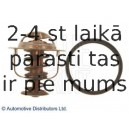Termostats, Dzesēšanas šķidrums BLUE PRINT ADG09238