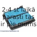 Воздушный фильтр BLUE PRINT ADH22263