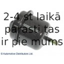 Топливный фильтр BLUE PRINT ADK82313