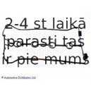 Blīve, Motora bloka galvas vāks BLUE PRINT ADG06703