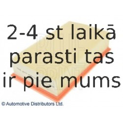 Gaisa filtrs BLUE PRINT ADN12248