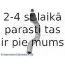 Stūres šķērsstiepņa uzgalis BLUE PRINT ADH28767