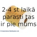 Масляный фильтр BLUE PRINT ADC42123