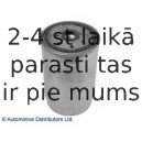 Топливный фильтр BLUE PRINT ADG02333