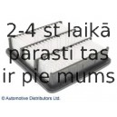 Воздушный фильтр BLUE PRINT ADG02281