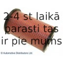 Воздушный фильтр BLUE PRINT ADN12237