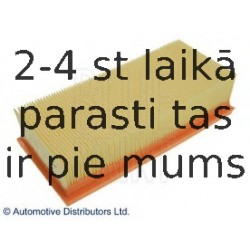 Воздушный фильтр BLUE PRINT ADC42247