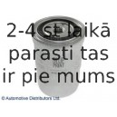 Топливный фильтр BLUE PRINT ADC42348