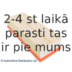 Воздушный фильтр BLUE PRINT ADV182204