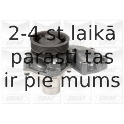 Ūdenssūknis GRAF PA365