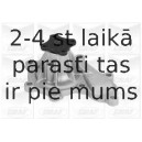 Водяной насос GRAF PA823