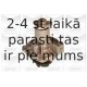 Водяной насос GRAF PA575