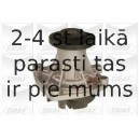 Водяной насос GRAF PA671