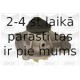 Водяной насос GRAF PA537