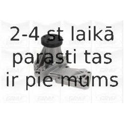 Ūdenssūknis GRAF PA990