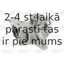 Водяной насос GRAF PA751