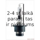 OSRAM D4S