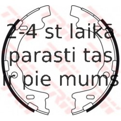 Bremžu loku kompl., Stāvbremze TRW GS8757